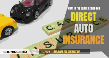 Understanding Direct Auto Insurance: Grace Period Explained