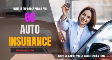 Understanding Go Auto Insurance's Grace Period