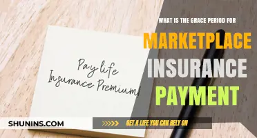Understanding Grace Periods for Marketplace Insurance Payments