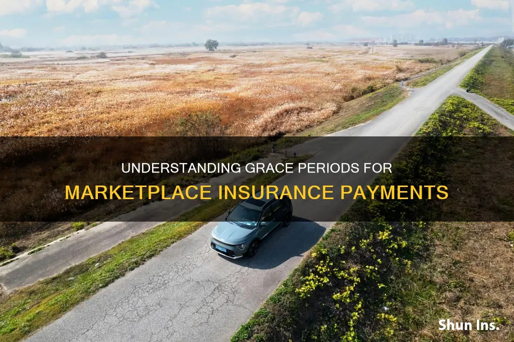 what is the grace period for marketplace insurance payment