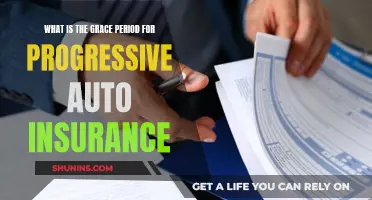 Understanding Progressive Auto Insurance Grace Periods and Their Benefits