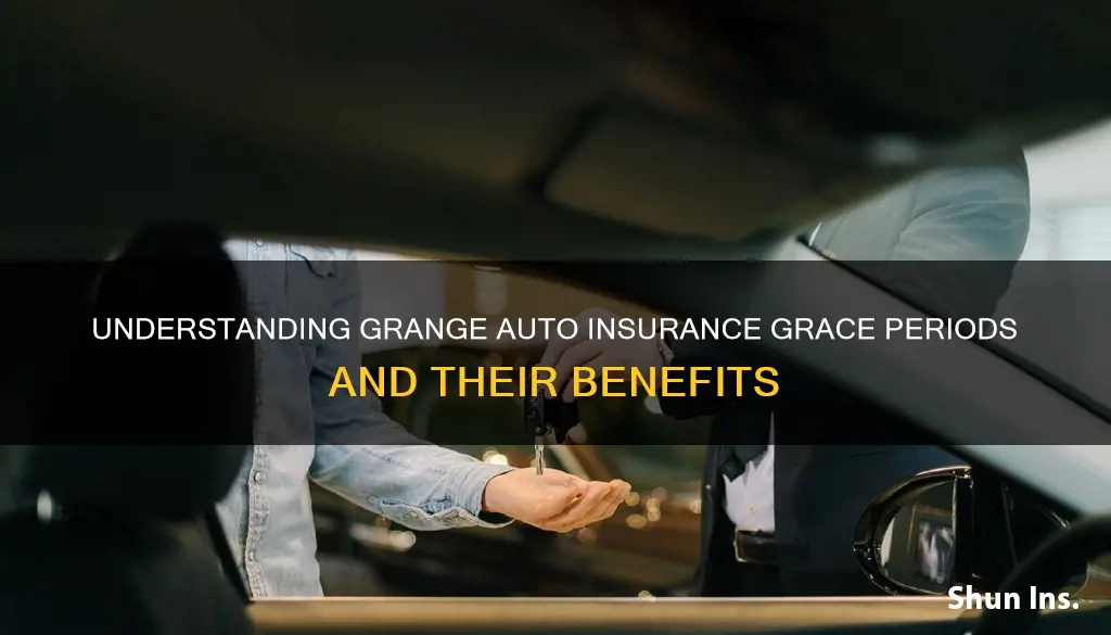 what is the grace period on grange auto insurance