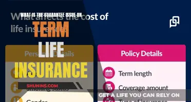 Understanding the Guarantee Issue in Term Life Insurance