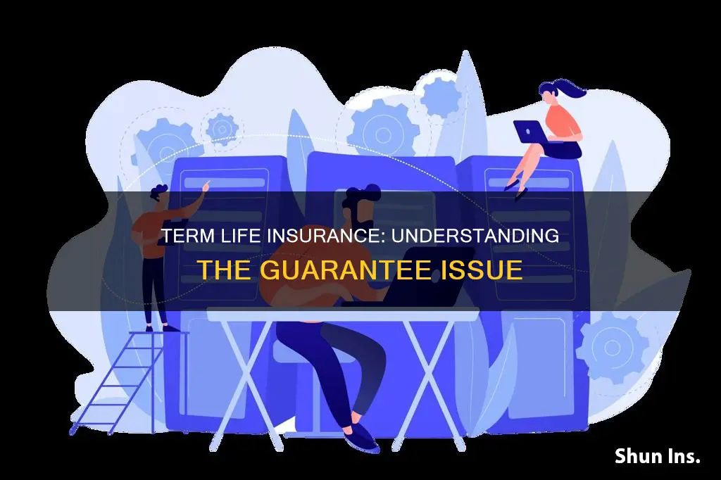 what is the guarantee issue on term life insurance