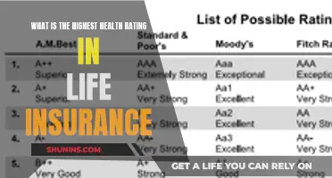 Unveiling the Top-Rated Health Mark in Life Insurance