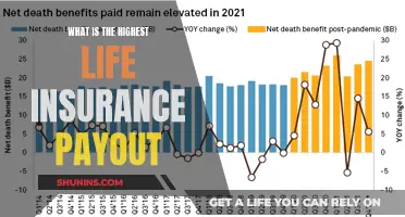 Maximizing Payouts: Understanding the Highest Life Insurance Limits