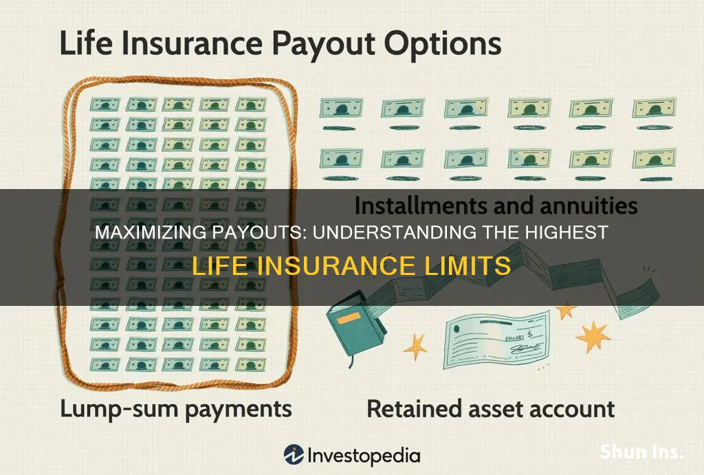 what is the highest life insurance payout