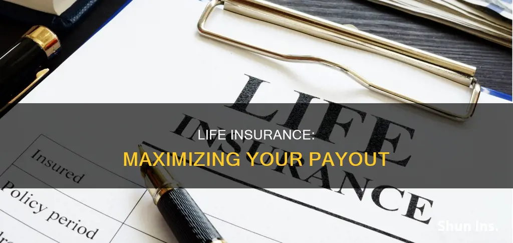 what is the highest life insurance payout