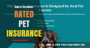 Best Pet Insurance: Top-Rated Policies for Your Furry Friends