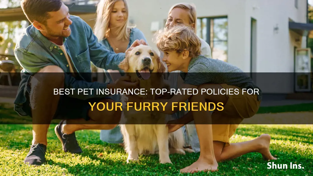 what is the highest rated pet insurance