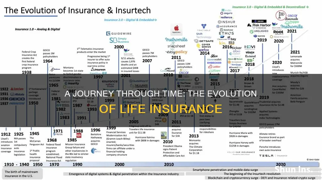 what is the history of life insurance