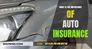 Auto Insurance: Why It's Important to Have Coverage