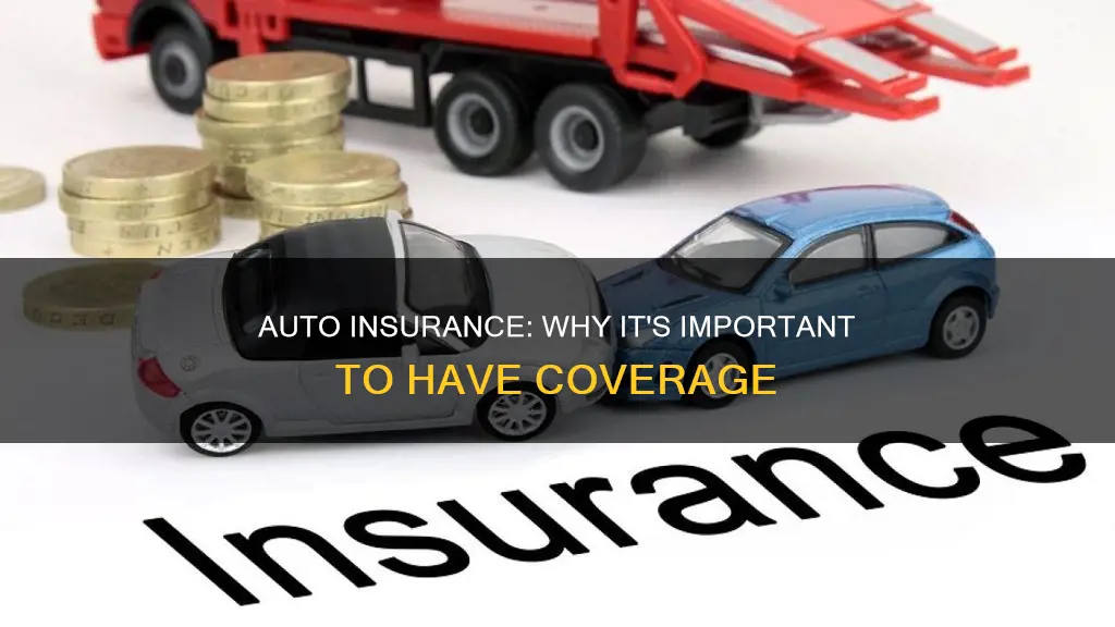 what is the importance of auto insurance