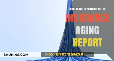 Understanding Insurance Aging Reports: Financial Health Insights
