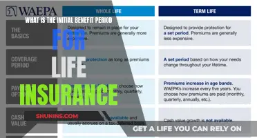 Understanding Initial Benefits: Life Insurance's First Payout Period