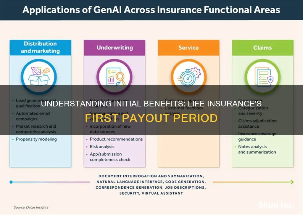 what is the initial benefit period for life insurance