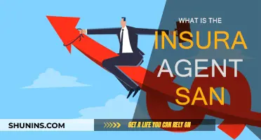 Understanding the Insurance Agent's Role