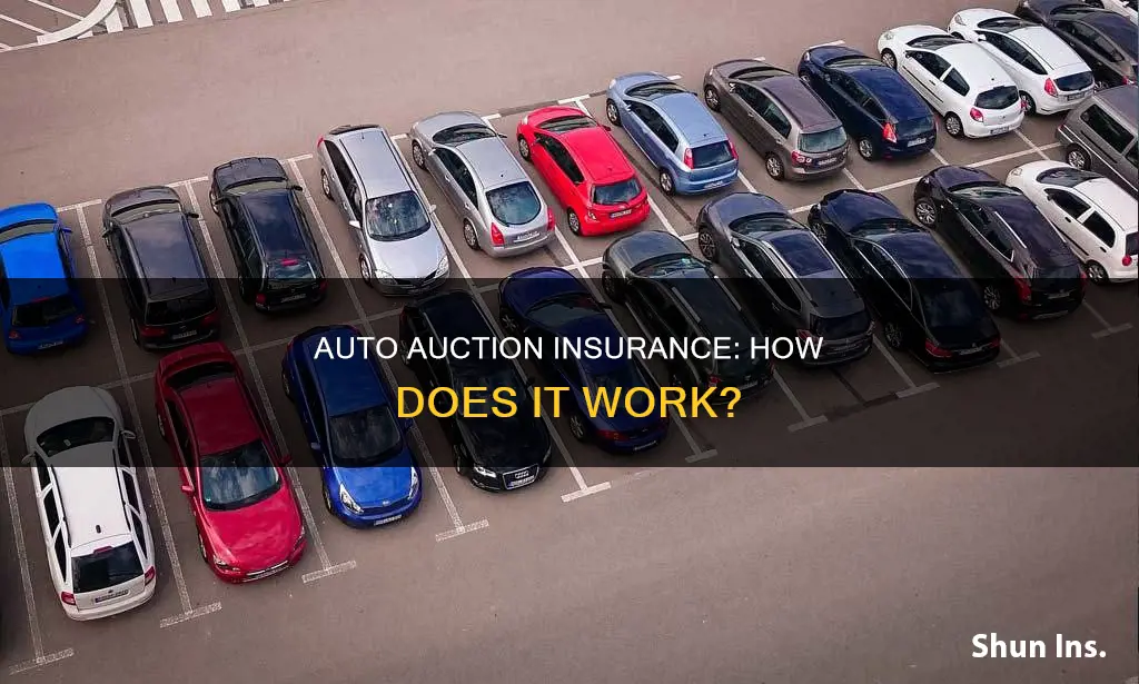 what is the insurance auto auction