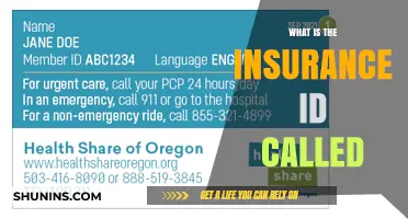 Understanding Insurance: The Policy Number Explained