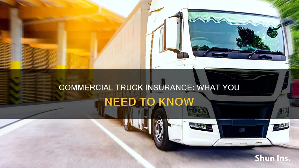 what is the insurance of the commercial auto truck