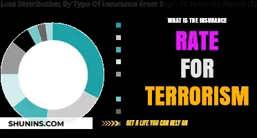 Terrorism Insurance: Rates and Risks