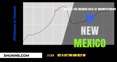Unemployment Insurance in New Mexico: What's the Rate?