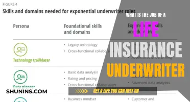 Unveiling the Role of Life Insurance Underwriters: Guardians of Financial Security