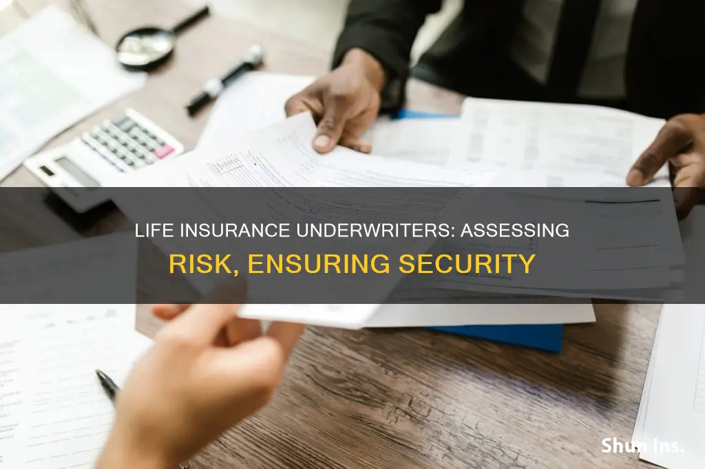 what is the job of a life insurance underwriter
