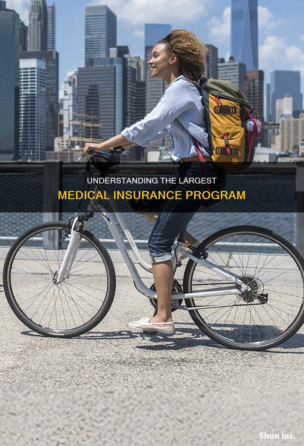 what is the largest medical insurance program