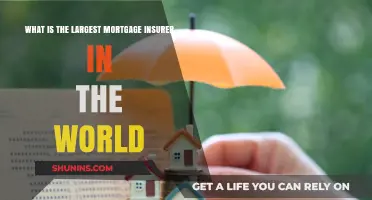 Who's the Largest Mortgage Insurer?