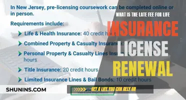 Late Fees for Life Insurance License Renewal: What You Need to Know