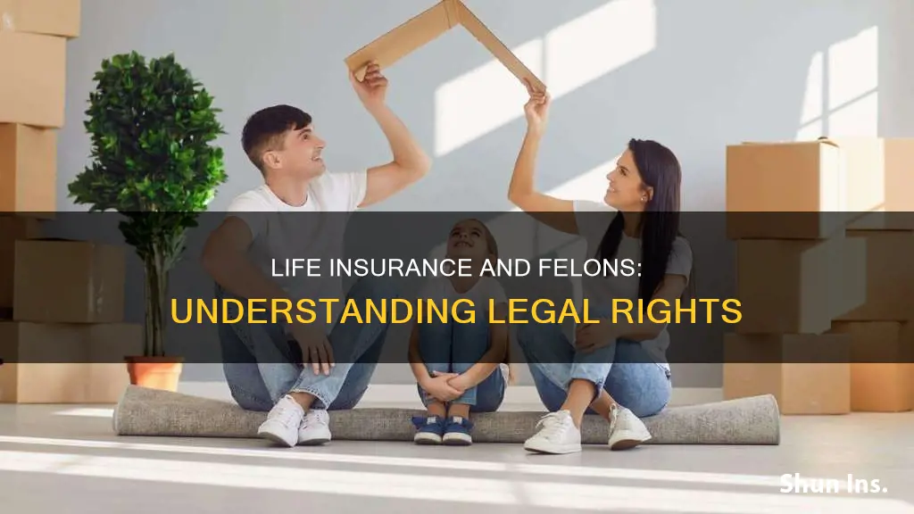 what is the laws on life insurance and felons