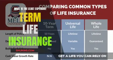 Affordable Term Life Insurance: Finding the Cheapest Option