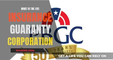 Life Insurance Guaranty: Protecting Your Policyholder's Interests