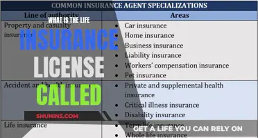 Understanding the Life Insurance License: A Comprehensive Guide