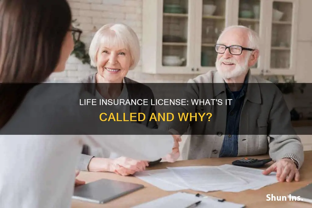 what is the life insurance license called