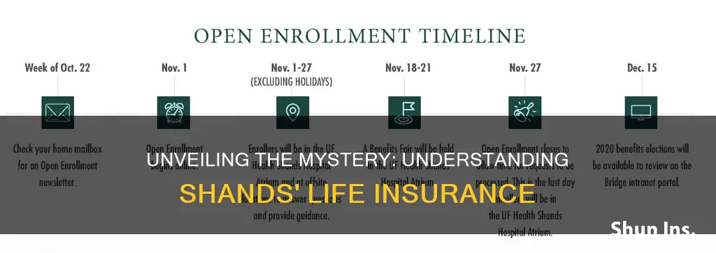 what is the life insurance of shands