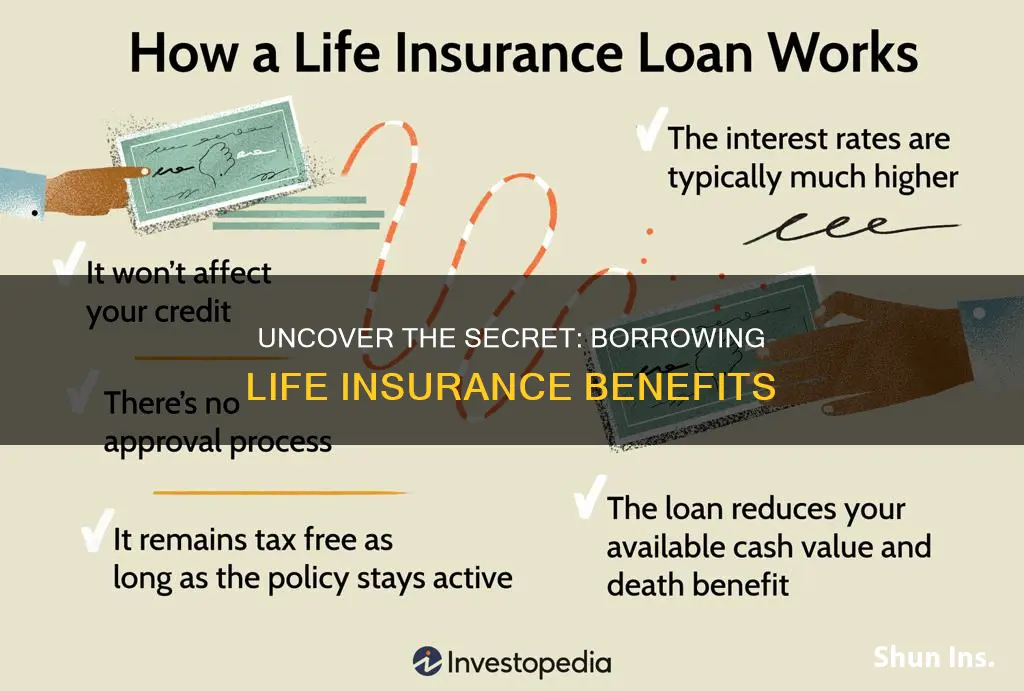 what is the life insurance that you can borrow from