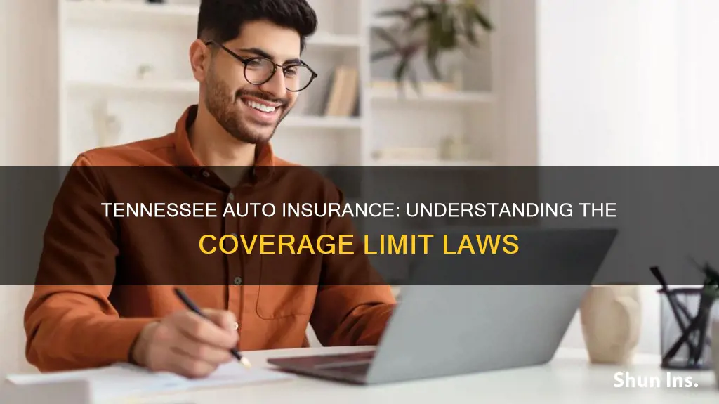 what is the limit auto insurance in tn