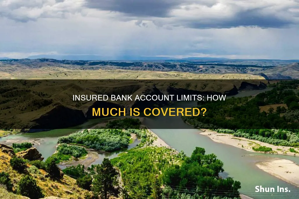 what is the limit for gov insured bank account