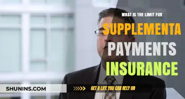Supplemental Insurance: Understanding Your Policy's Payment Limit
