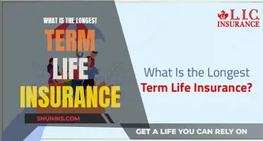 Long-Term Life Insurance: Exploring the Longest Coverage Options