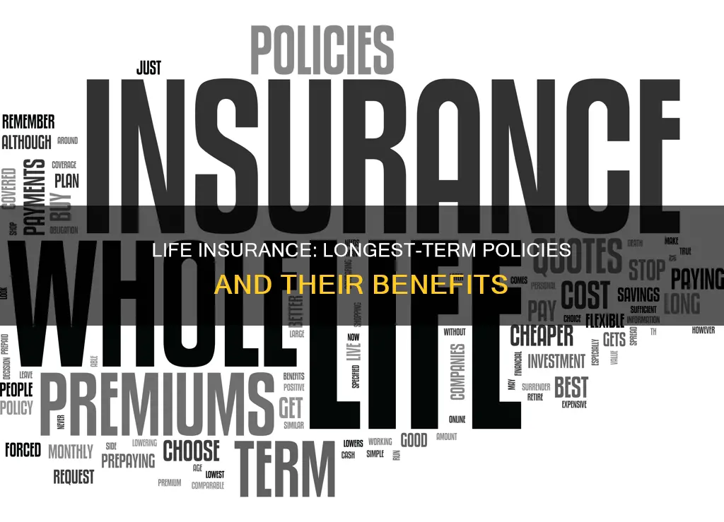 what is the longest term life insurance