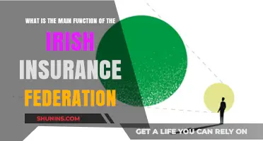 Irish Insurance Federation: Its Core Purpose Explained