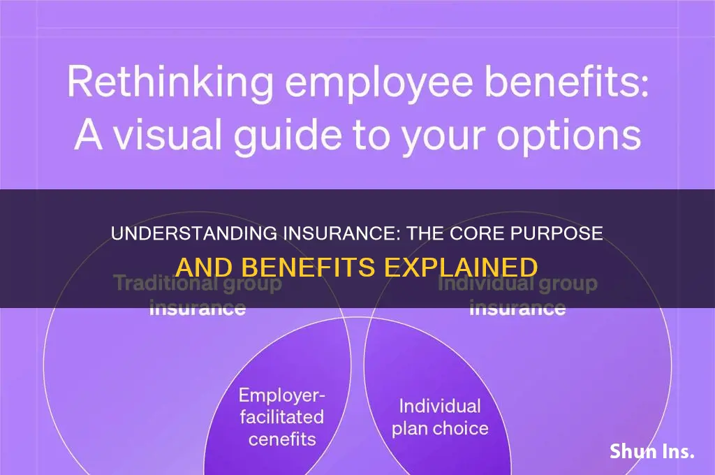 what is the main purpose of insurance