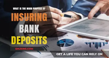 Why Insuring Bank Deposits is Essential