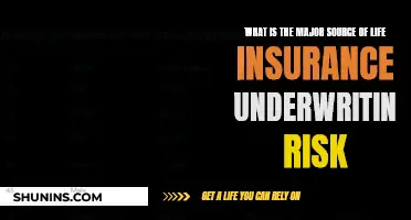 Uncovering the Primary Underwriting Risk in Life Insurance