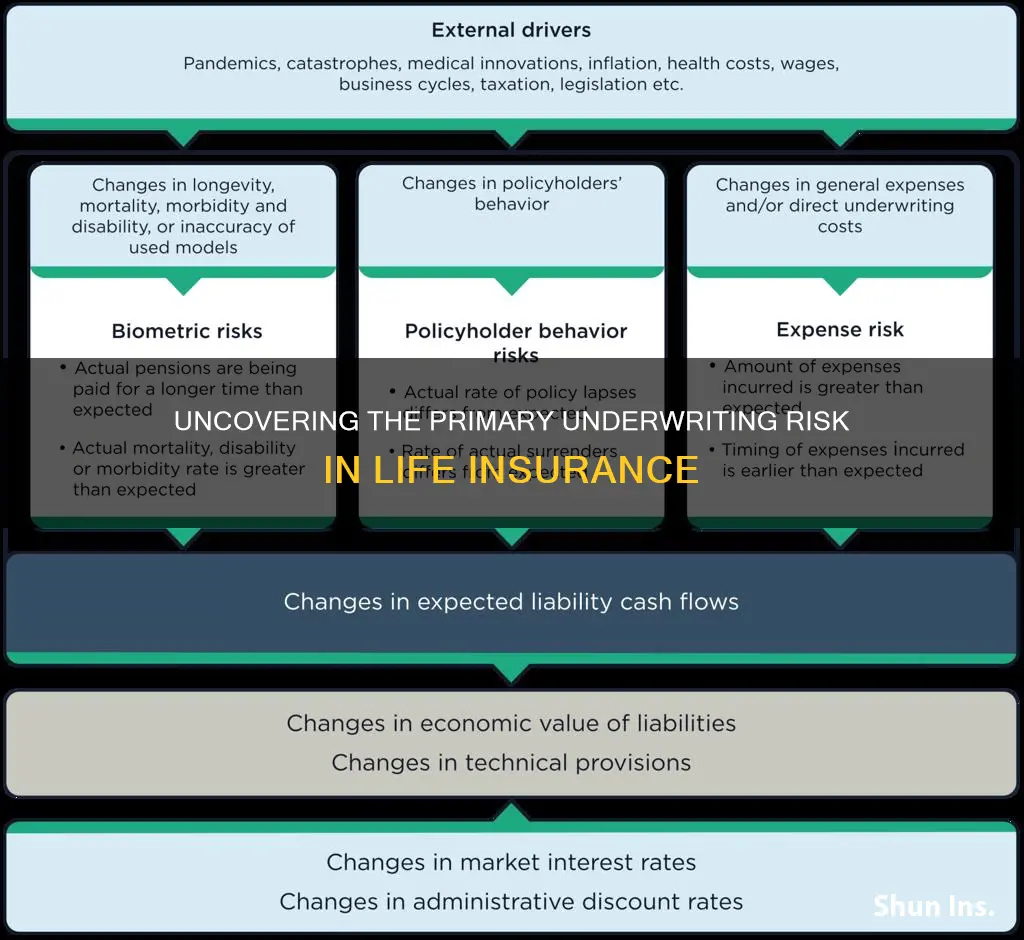 what is the major source of life insurance underwriting risk