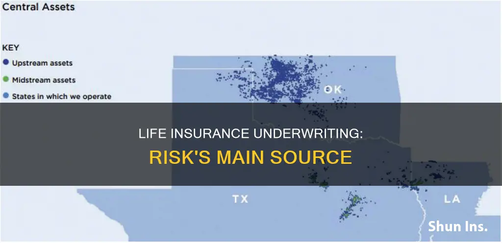 what is the major source of life insurance underwriting risk
