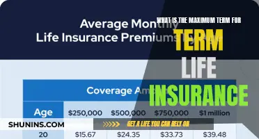 Term Life Insurance: Maximum Coverage Duration Explained